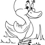 free duck coloring page for kids (36)