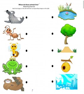 free printable matching animals to their home worksheet (7)