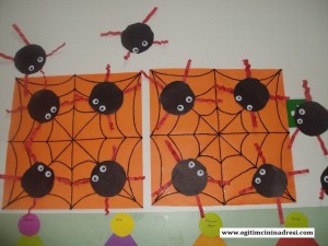 spider bulletin board
