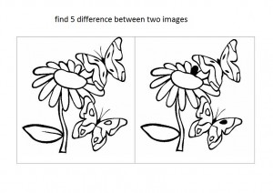 spot_and_find_the_difference_flowers_and_butterflies