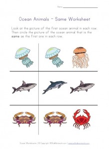 Ocean Animals Same Printable