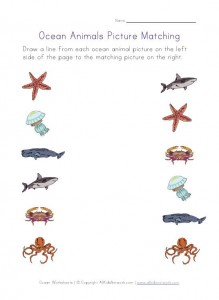 Ocean animals worksheets