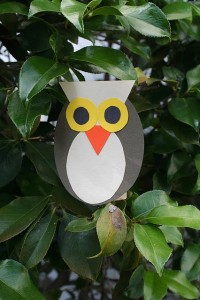 Shape owls craft