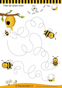 bee   trace worksheet