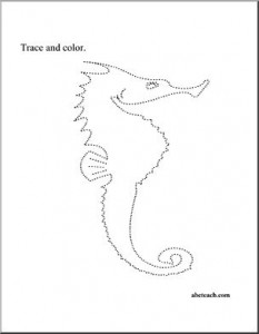 seahorse trace