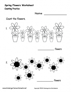 spring-flowers-worksheet-printable
