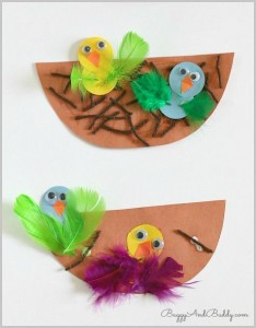 Nest and Bird Craft