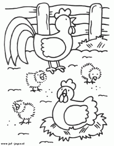 farm animal coloring page (3)