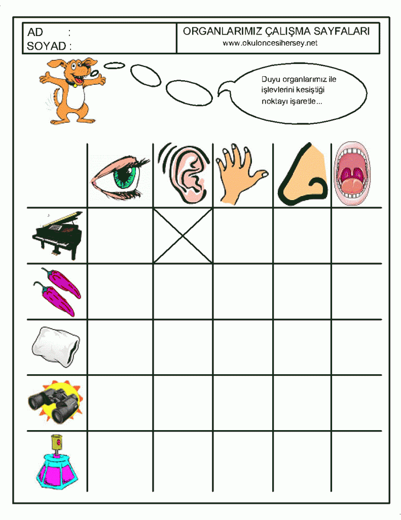 five-senses-worksheet-for-kids-crafts-and-worksheets-for-preschool-toddler-and-kindergarten