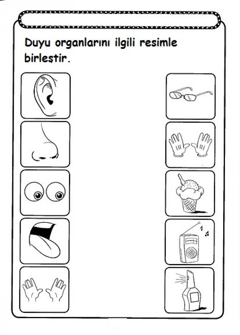 Five senses worksheet for kids | Crafts and Worksheets for Preschool