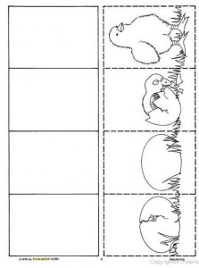 life cycle chick worksheet for kids
