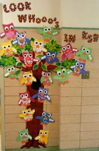 owl classroom door decorations
