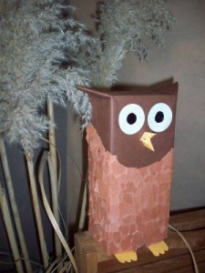 box owl craft