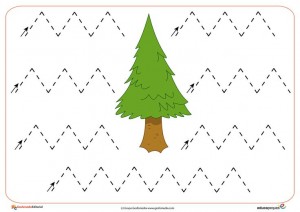 free printable tree trace worksheet (2)