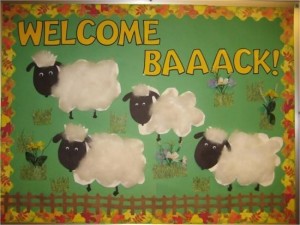 sheep bulletin board