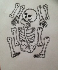 skeleton template_201x240