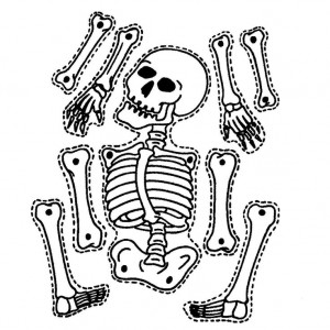 Printable skeleton craft coloring page | Crafts and Worksheets for ...