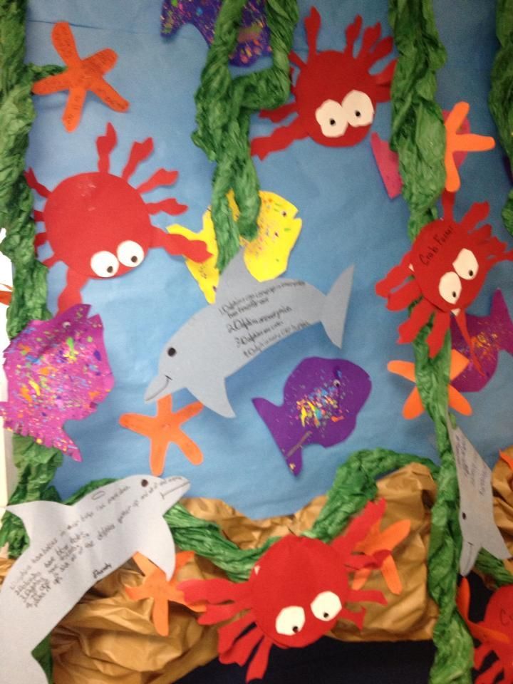 bulletin ocean sea animal classroom theme themed preschool starfish crafts door animals projects activities welcome decorations idea boards under kindergarten