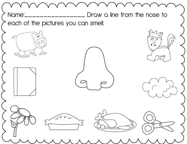 5 Senses For Preschool Worksheets - Free Printable Templates