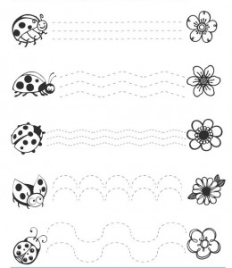 ladybug trace line worksheets (1)