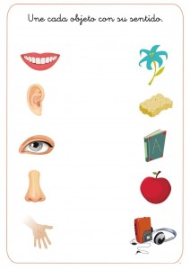 match 5 senses worksheet for kids (5)