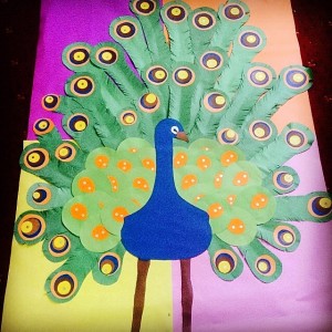 peacock bulletin board