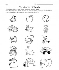 touch worksheet