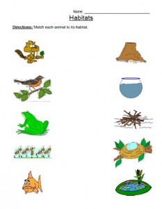 animal habitat worksheet