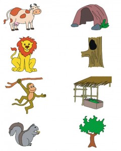 animal habitat worksheet for kids (2)