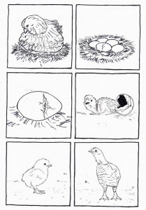 life cycle bird coloring page
