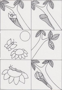 life cycle butterfly worksheet for kids (3)