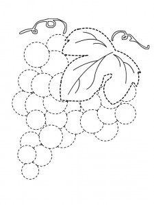 grapes trace line worksheet for kids (1)