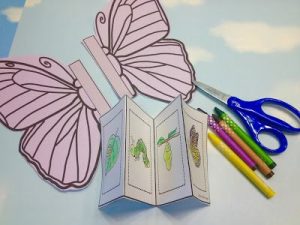 life of cycle butterfly craft