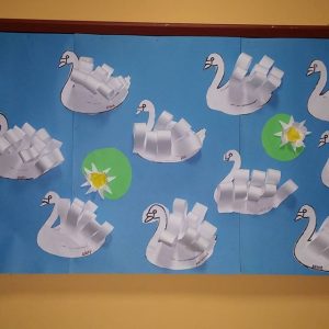 swan bulletin board
